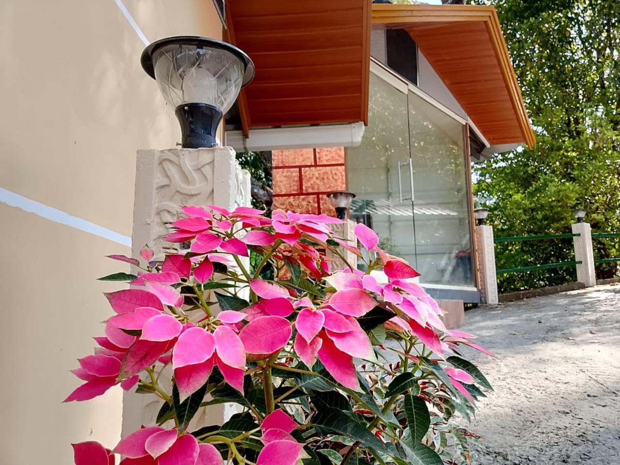 Cloudscape Homestay Pīrmed Exterior foto